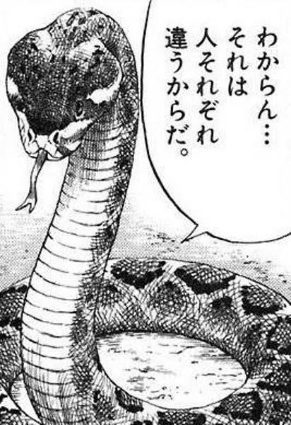 拾い物で失礼 img